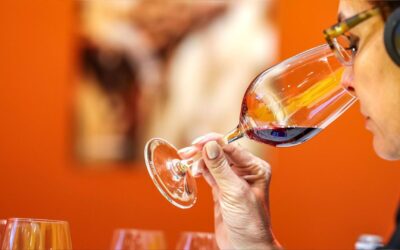 Wine Paris 2026 : stand sur mesure & logistique | Enjoy